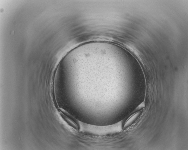 X0000087391379200705041959