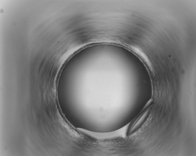 X0000087391380200705041959