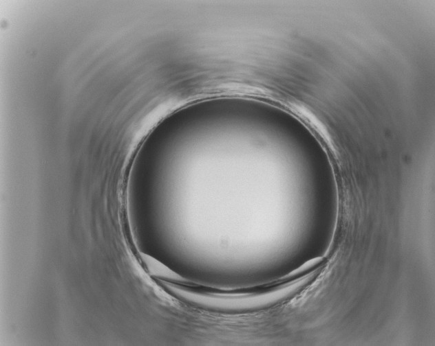 X0000087391381200705041959