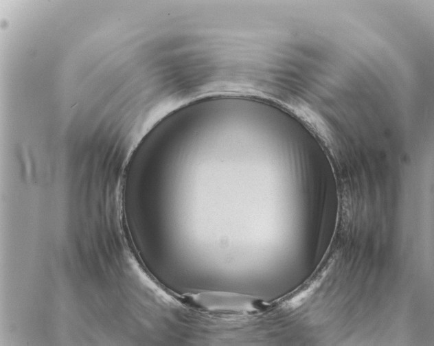 X0000087391382200705041959