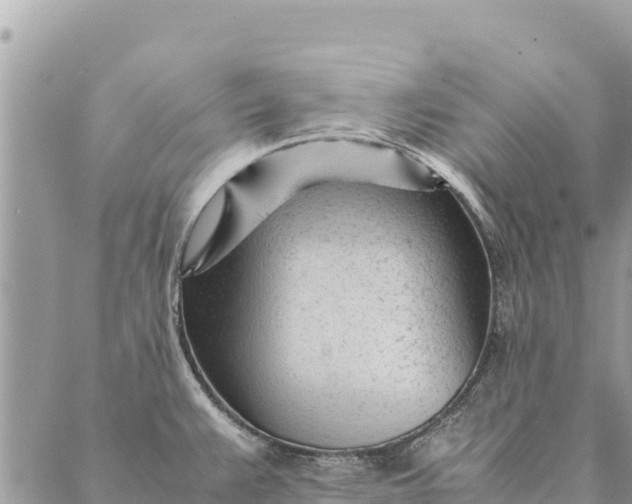 X0000087391383200705041959