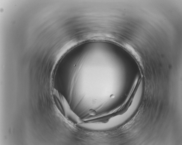 X0000087391384200705041959