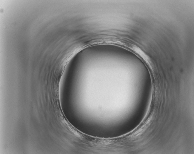 X0000087391385200705041959