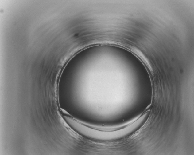 X0000087391388200705041959