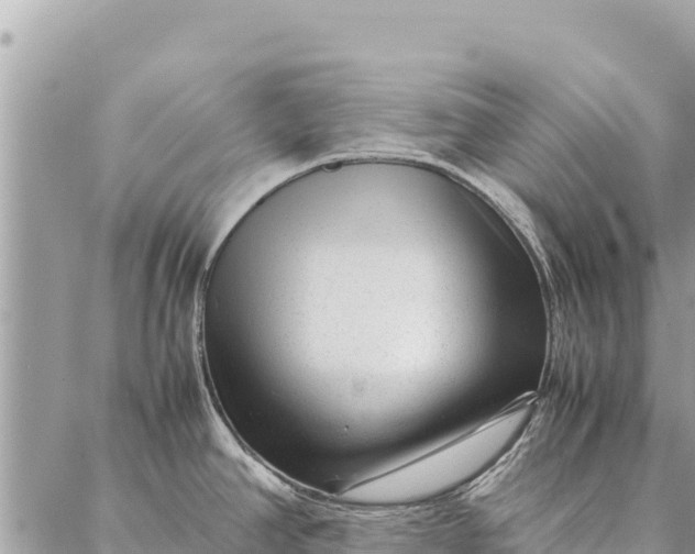 X0000087391390200705041959