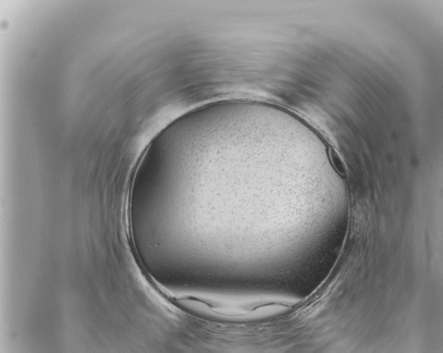 X0000087391391200705041959