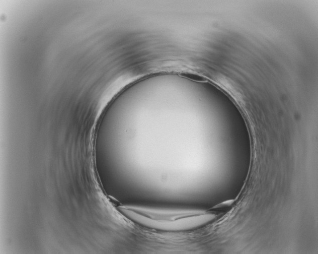 X0000087391392200705041959