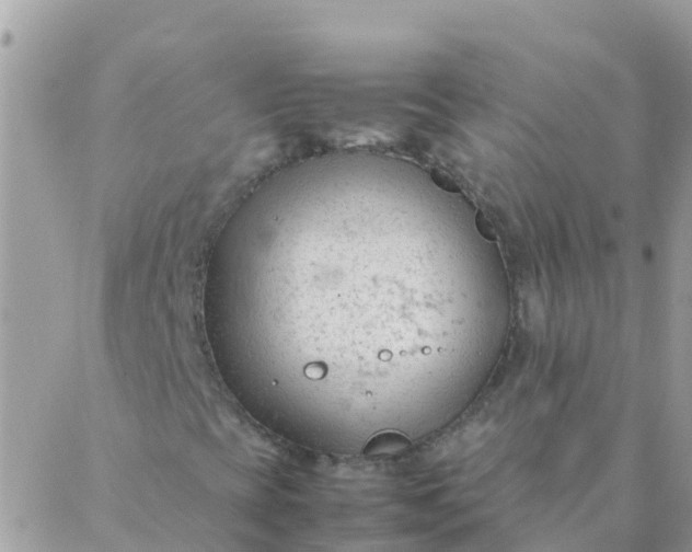 X0000087391393200705041958