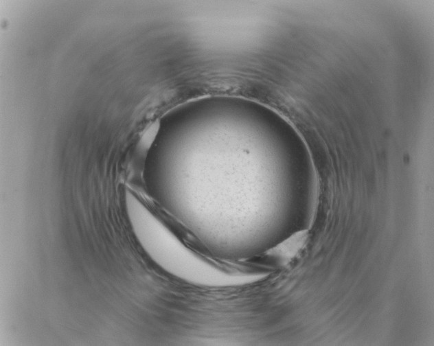 X0000087391394200705041958