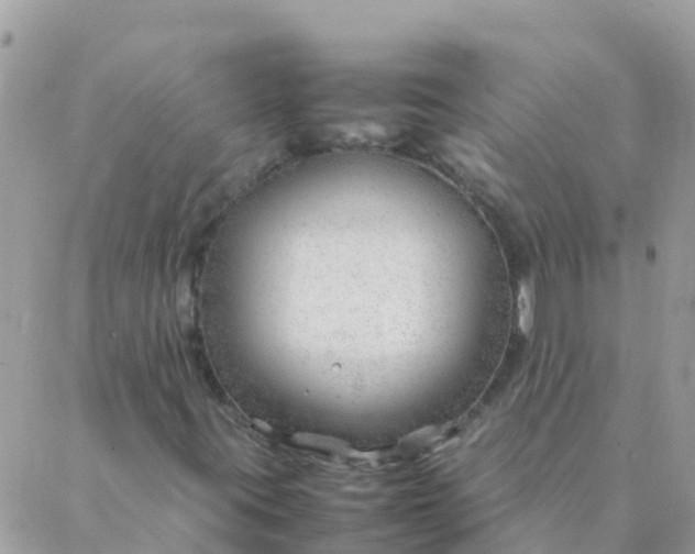 X0000087391395200705041958