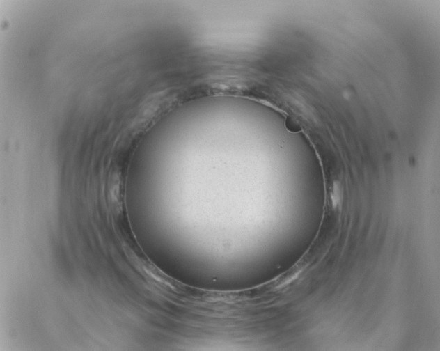 X0000087391396200705041958