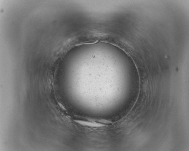 X0000087391397200705041959