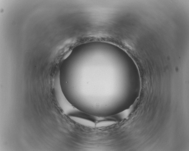 X0000087391398200705041959