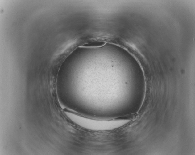 X0000087391399200705041959