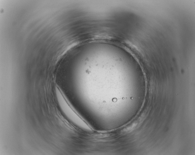 X0000087391401200705041959