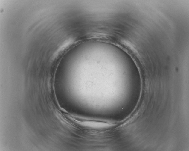 X0000087391403200705041959