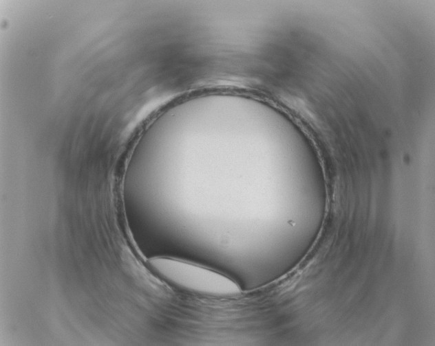 X0000087391404200705041959