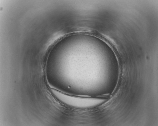 X0000087391407200705041959