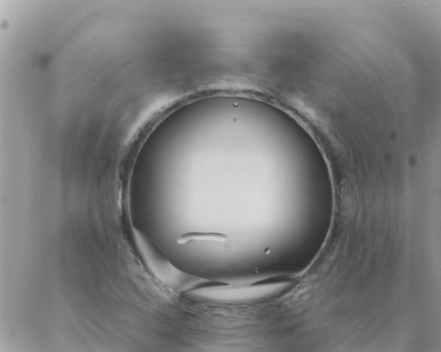 X0000087391408200705041959