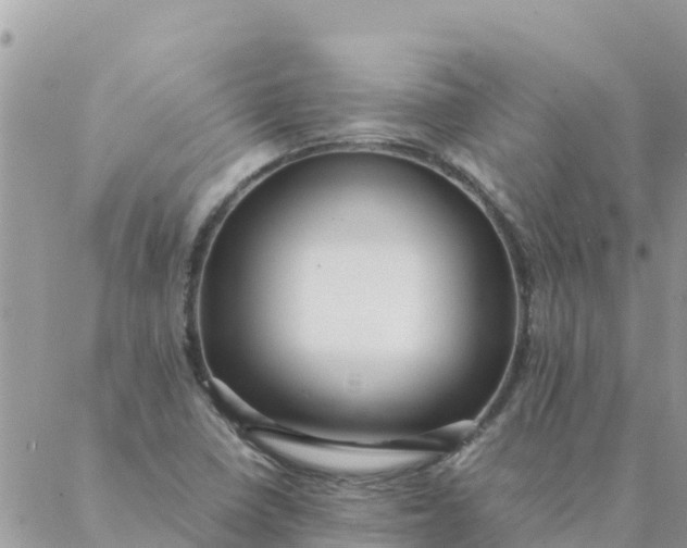 X0000087391410200705041959