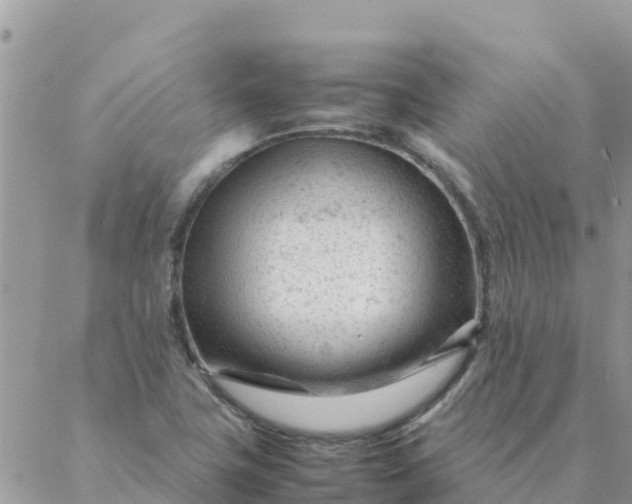 X0000087391411200705041959