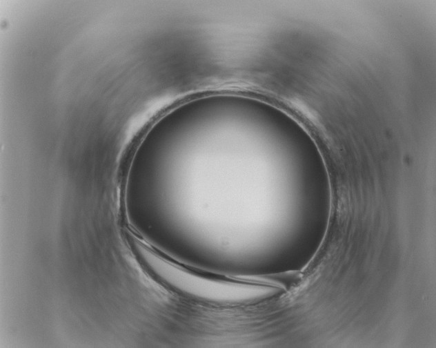 X0000087391414200705041959