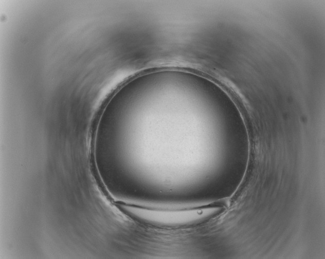 X0000087391416200705041959