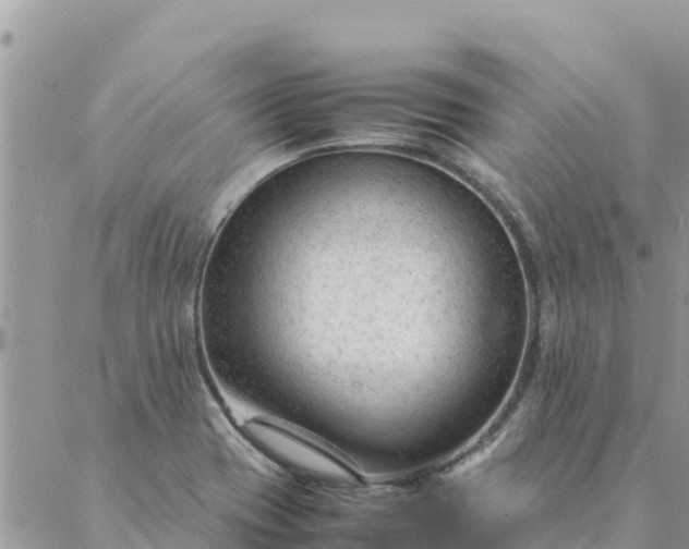 X0000087391417200705041959