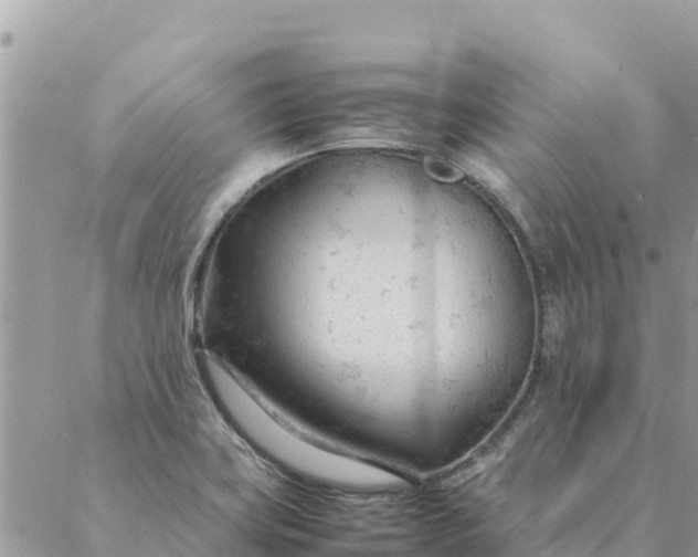 X0000087391419200705041959