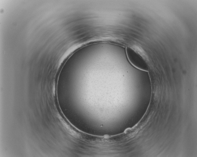 X0000087391420200705041959