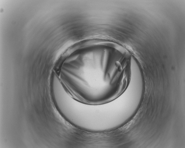 X0000087391422200705041959