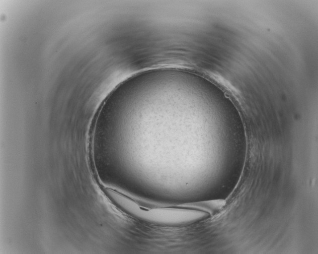 X0000087391423200705041959