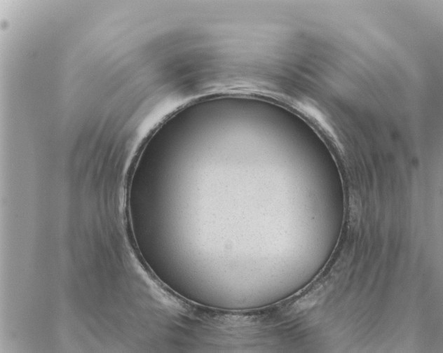 X0000087391424200705041959