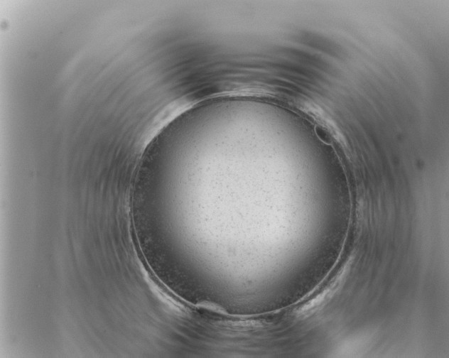 X0000087391425200705041959