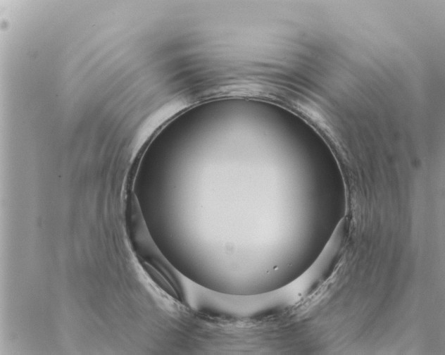 X0000087391426200705041959