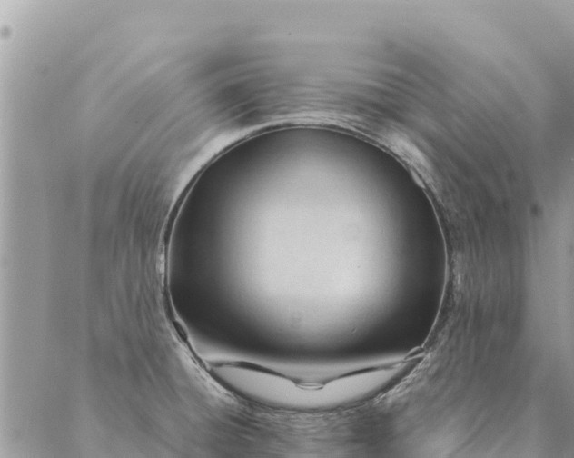 X0000087391428200705041959