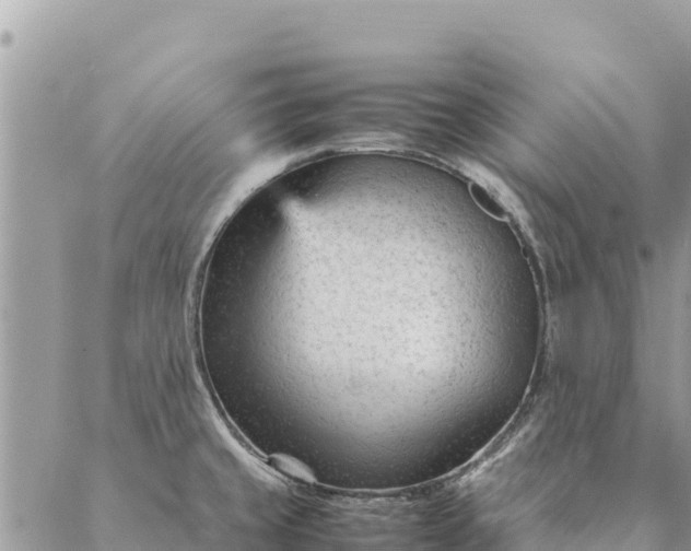 X0000087391429200705041959