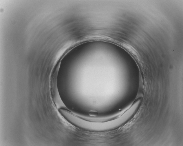 X0000087391430200705041959