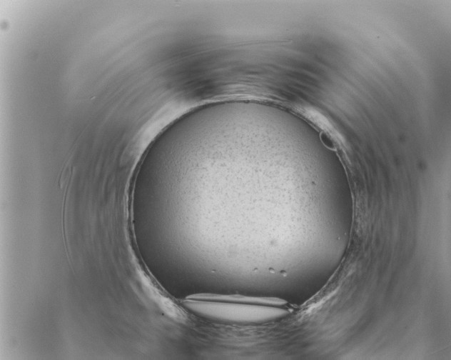 X0000087391431200705041959