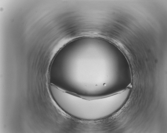 X0000087391432200705041959