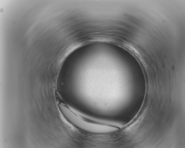 X0000087391433200705041959