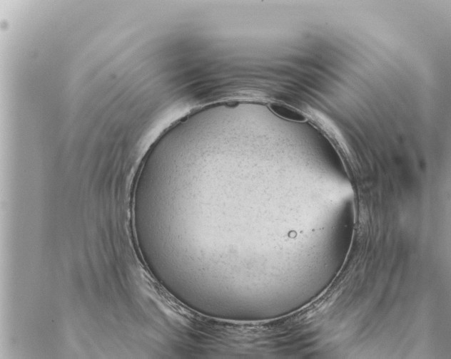 X0000087391435200705041959