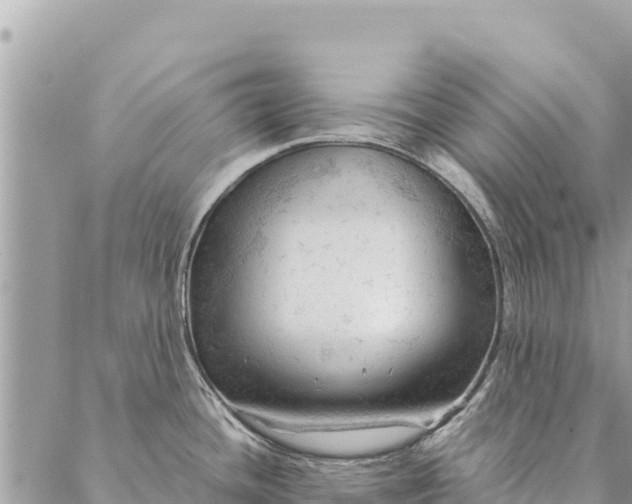 X0000087391436200705041959