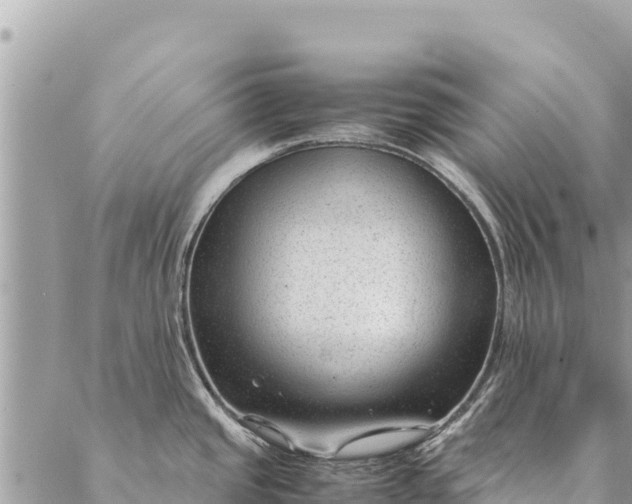 X0000087391437200705041959