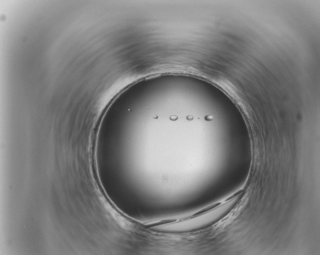 X0000087391438200705041959