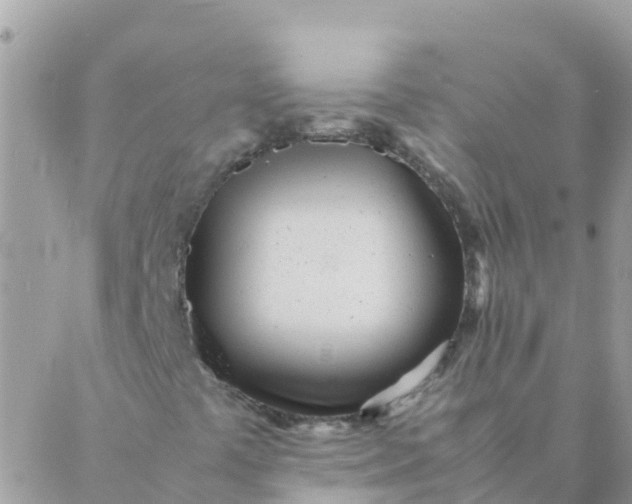 X0000087391441200705041958