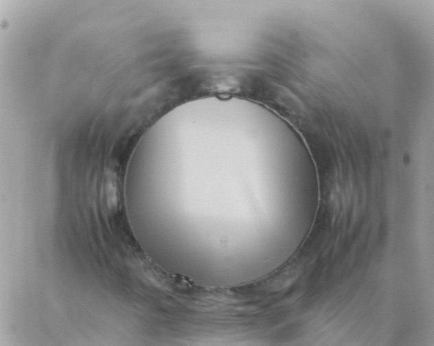 X0000087391442200705041958