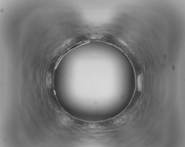 X0000087391443200705041958