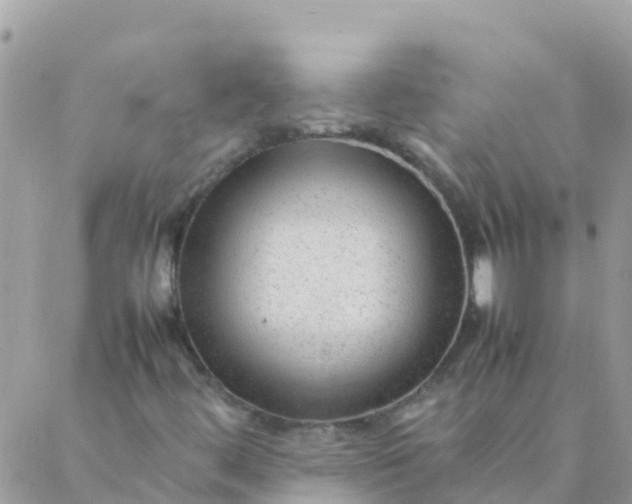 X0000087391444200705041958