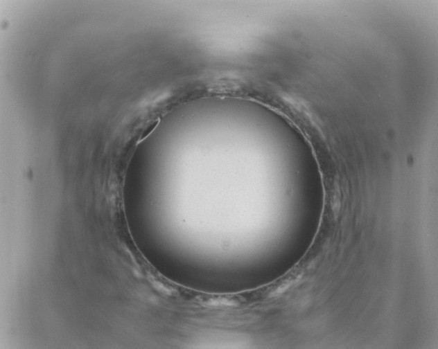 X0000087391445200705041958